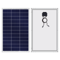 Sunpal Customized PV Module Mono 50W Solarpanel Preis in Sri Lanka